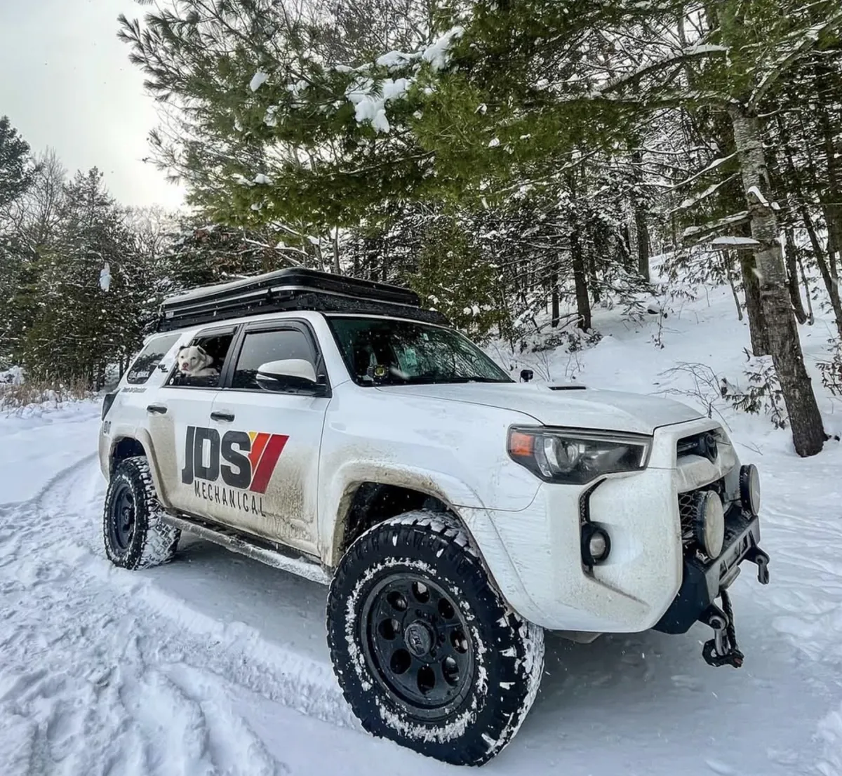 JDS 4Runner on a winter trail run.